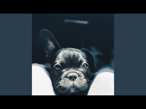 I Found My Smile Again