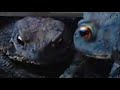 Frog Struggle