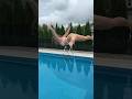 RUNNING To HIGH DIVE JUMP Off The DIVING Board Into The Swimming Pool Shorts