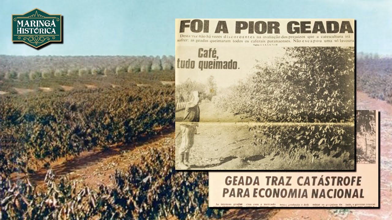 Geada Negra de 1975