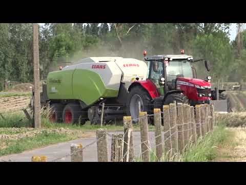 Verplancke: Grootpakpersen + Wikkelen.