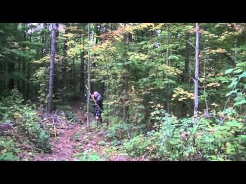 HOLY COW IT'S A  BEAR MEDIEVAL ENGLISH LONGBOW, 3D HUNTER, ACCURATE 5 SHOT GROUP