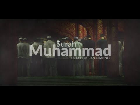 Surah Muhammad | beautiful quran | hati tenang mengingat Allah