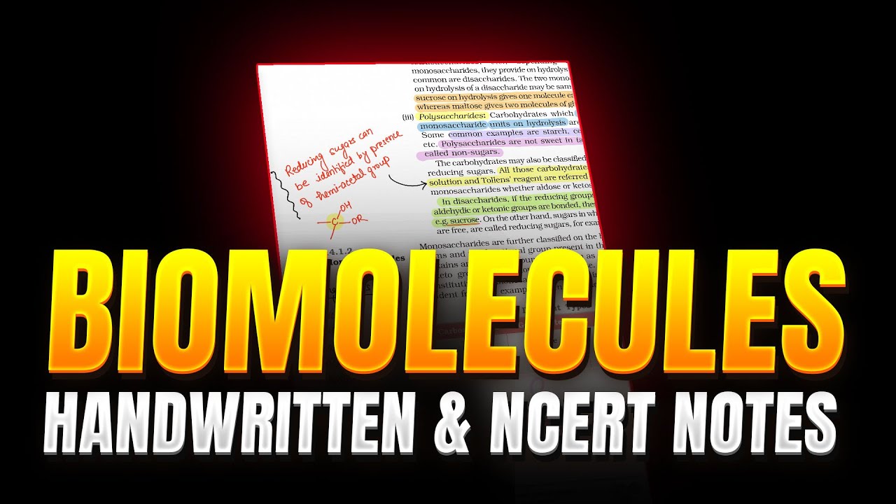 Master Biomolecules for JEE Mains 2025 | NCERT Short Notes | Chemistry Tips for 99+ Percentile