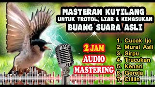 Download lagu Masteran Kutilang Full Isian Durasi Panjang Master... mp3