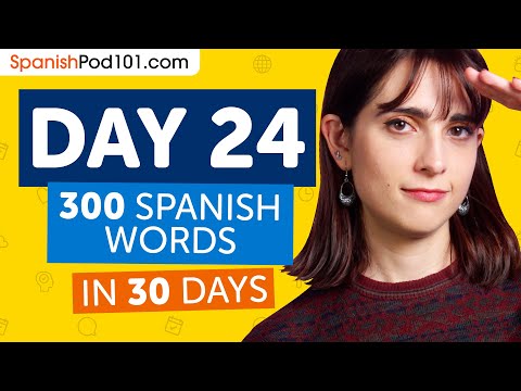 Day 24: 240/300 | Learn 300 Spanish Words in 30 Days Challenge
