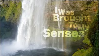 Sting - I Was Brought To My Senses (Lyrics)