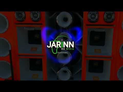 FORROZIN DO SAPINHO | DJ RAYLLAN, EDIN DO PISEIRO E MC MORENA