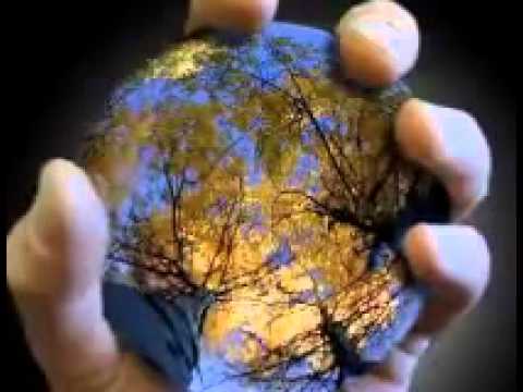 VANARE DE VANT - FLORIAN PITTIS.flv