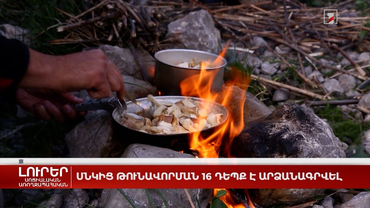 Սնկից թունավորման 16 դեպք է արձանագրվել