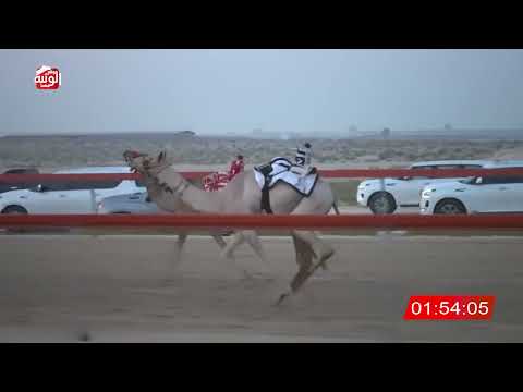 ش 3 (سمحه) لـ احمد مطر بن محمد الرميثي 2:57 ، شارة الشيخ طحنون 2026/8/15 فطامين السمحه