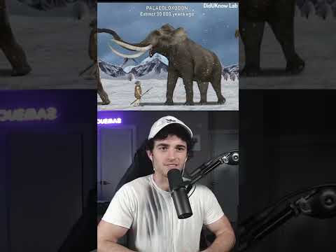 I found out how big prehistoric animals actually were 😳