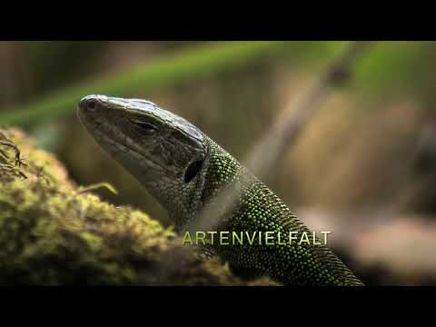 Nationalparks Austria Trailer