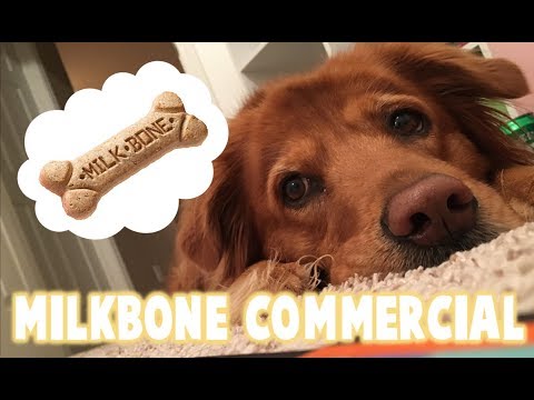 What do Milkbones do for your dog??? Milkbone Commercial
