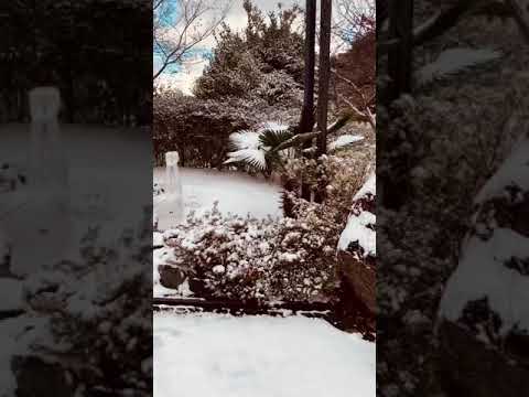 Công viên tình yêu ở Hàn Quốc có gì