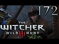 The Witcher 3: Wild Hunt [172] - Wenigstens mit Abschluss
