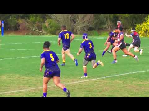 2017 NRL Victoria First Grade - Preliminary Final Highlights