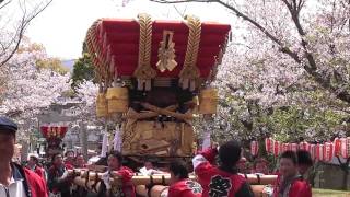 賀集生子　布団だんじり