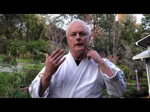 Kihon Kata San technique
