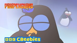 Spooky Penguins 🎃! | Piripenguins | CBeebies