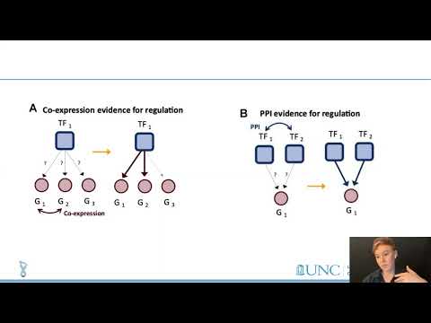 Gene Regulatory Networks and Individual-Specific Regulatory Disruptions