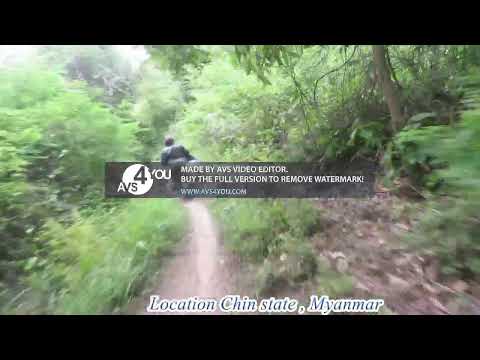 Bike Rider Expert nata khi tlyna