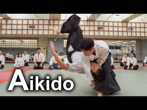 Dynamic Aikido in Taiwan - Ushiro Ryote Dori SHIRAKAWA RYUJI shihan