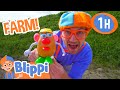Blippi Visits A Farm And Plays With Mr Potato Head 1 HOUR OF BLIPPI TOYS Educational Videos
