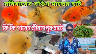 কি কি রয়েছে রবিবারের শ্রীরামপুরের শখের হাটে | Aquarium Fish Price | Serampore Pet Market | Fish 
