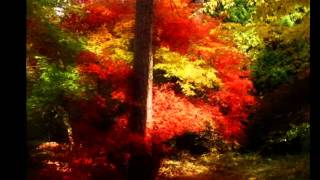 Autumn Forever by To/Die/For