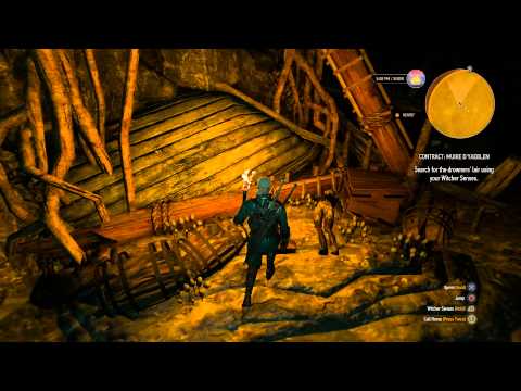Contract: Muire D'yaeblen - The Witcher 3
