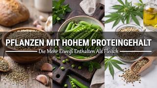 Stärker als Fleisch? Diese 20 Pflanzen sind echte Protein-Wunder!