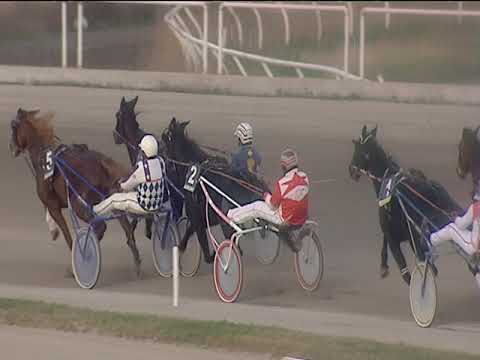 Trotto 18/12/2018 - 3ª corsa