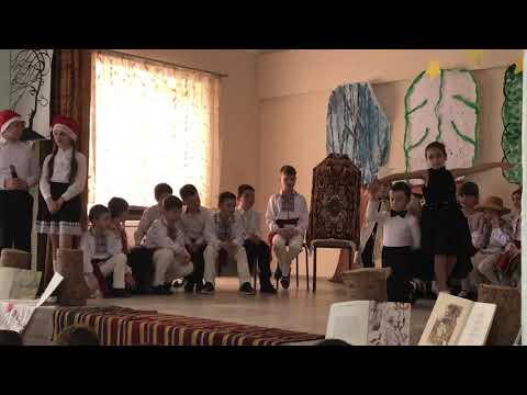 Debut , Dans Sportiv Aniela&Marius