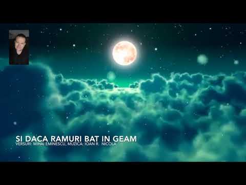 Si daca ramuri bat in geam - Cover bMusic TM2021