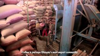 Agricultural Value Chains in Oromia