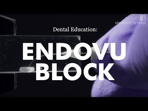 Preparation of EndoVu Block - Hybrid Protaper Gold WaveOne Technique 