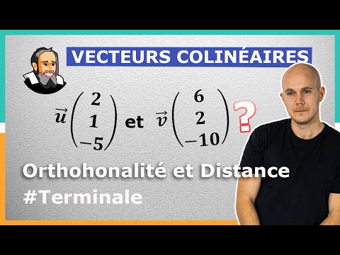 Savoir si 2 VECTEURS sont COLINÉAIRES dans l'Espace - Exercice Corrigé - Terminale