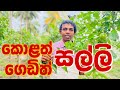පැෂන් වගාව Passion Fruit Cultivation Passionfruit Homegardening