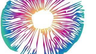 Robert Forte PhD - The Dark History of Psychedelics