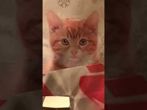 Tình vẫn còn đây - Unknown