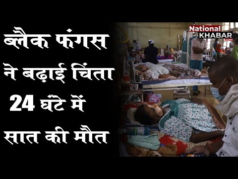 बिहार में ब्लैक फंगस ने बढ़ाई चिंता, 24 घंटे में सात मरीजों की मौत