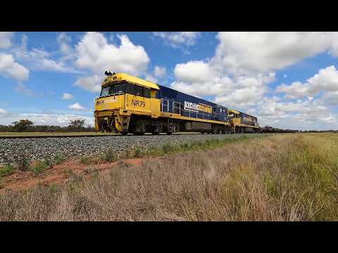 NR79 & NR115 Condobolin East NSW.  Wed 19th Oct 2022