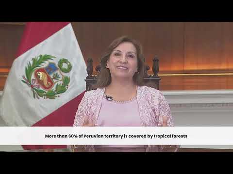 Speech by the President of the Republic, Dina Boluarte, video de YouTube