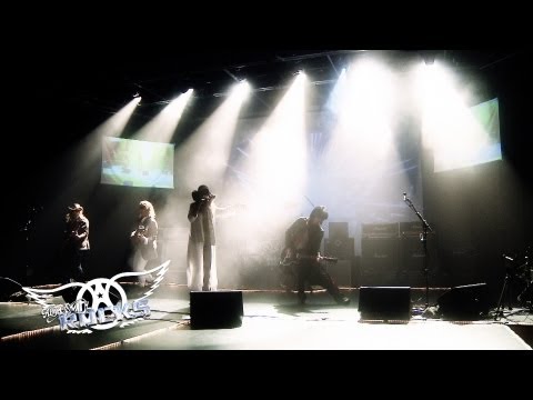 Aerosmith Rocks Tribute Band - 2013 Promo Video
