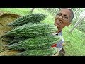 Bitter Gourd Masala Curry Healthy Village Food By Grandma Village Life