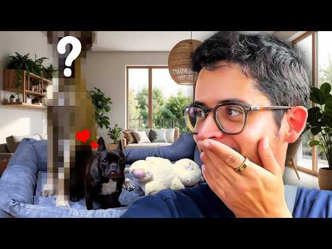 Episode 328 : Une "petite" soeur pour Pamela