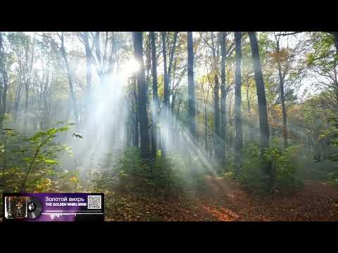 The Golden Whirlwind