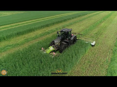 Mit 15 Km/h Speed durch den Roggen Endspurt Grünroggen mähen Fendt Vario 930 BP Agrarlohn Müritz