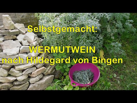Selbstgemacht: Wermutwein nach Hildegard von Bingen